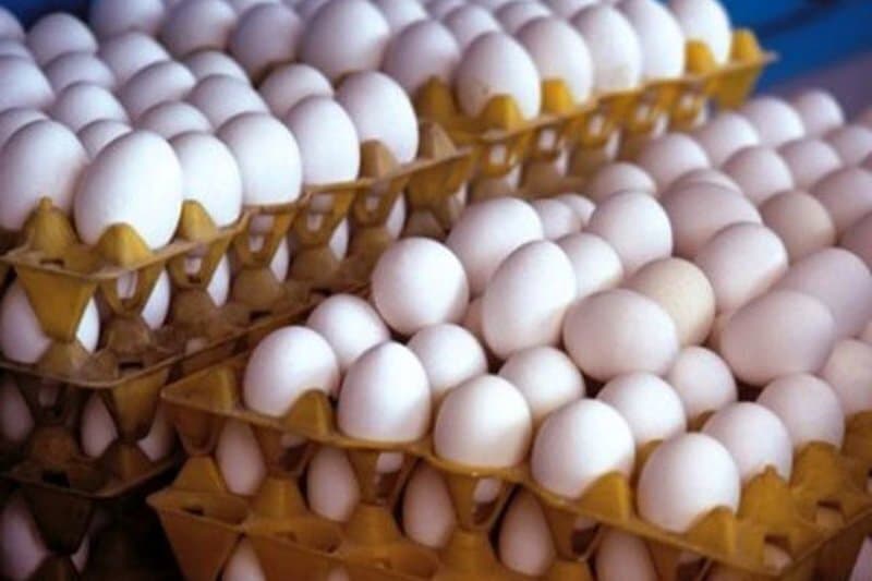 در بازار تخم مرغ چه میگذرد؟ / قیمت تخم مرغ افزایشی شد
