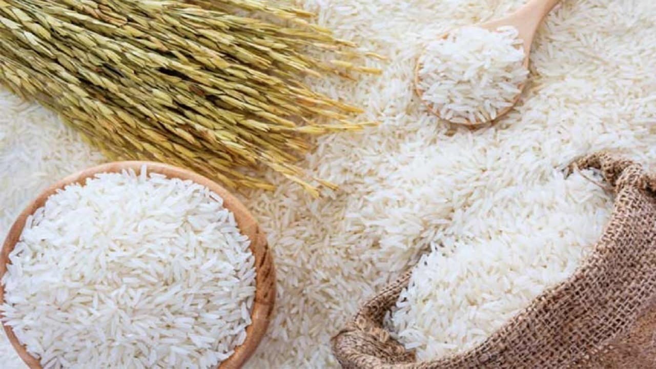 لازمه دستیابی به خودکفایی برنج چیست؟