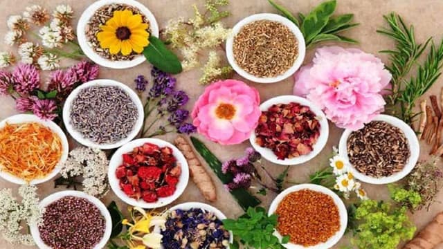 صادرات ۲۹ هزار تن گیاهان دارویی به اتحادیه اروپا