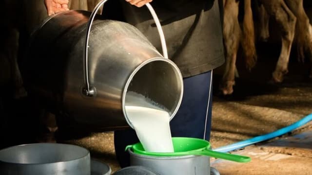 قیمت خرید هر کیلو شیر خام ۶۰ هزار و ۵۰۰ تومان